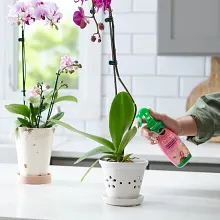 Miracle-Gro Orchid Bundle Pack image number null