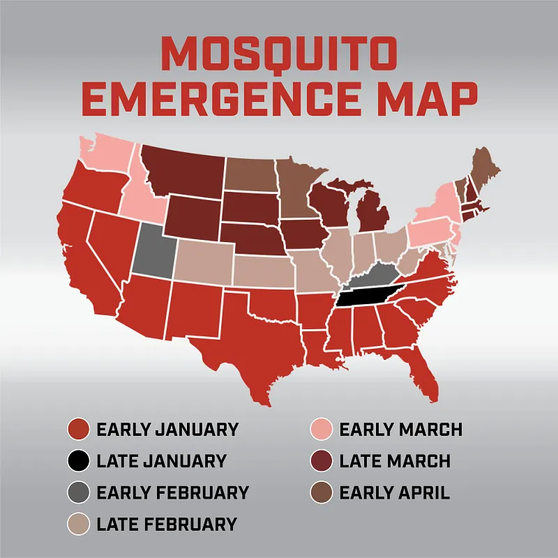 Ortho&reg; Home Defense&reg; Backyard Mosquito and Bug Killer Ready-To-Spray image number 8.0