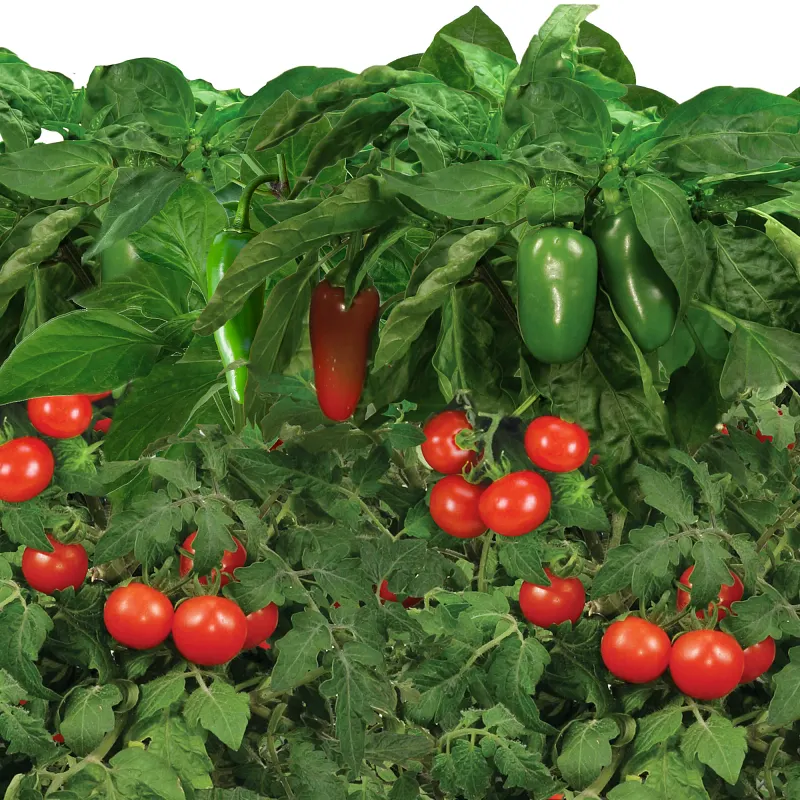AeroGarden Salsa Garden Seed Pod Kit image number 4.0