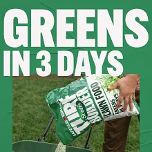 Scotts Turf Builder Southern Lawn Food image number null