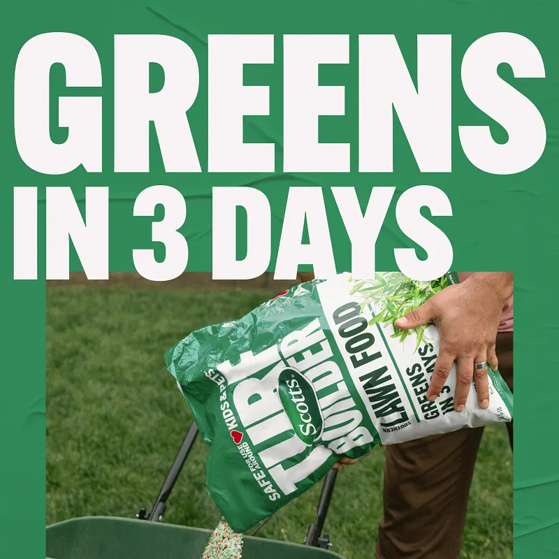 Scotts Turf Builder Southern Lawn Food image number 2.0