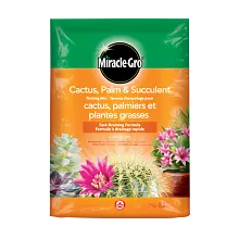 Terreau pour cactus, palmiers et plantes succulentes image number null