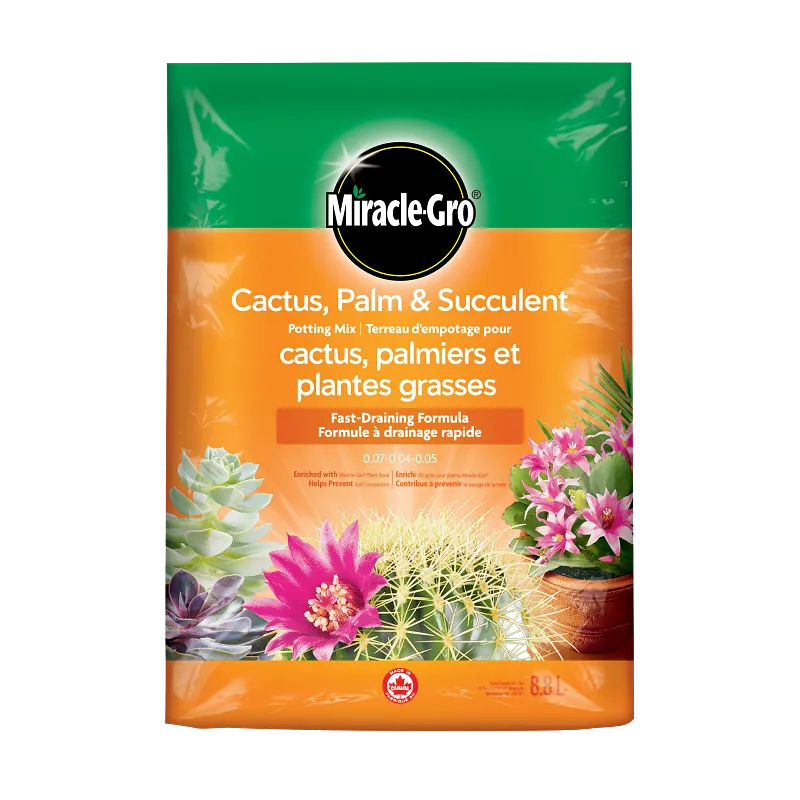 Terreau pour cactus, palmiers et plantes succulentes image number 1.0
