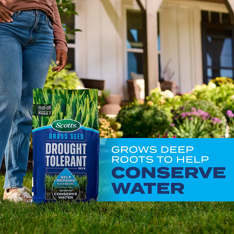 Scotts&reg; Grass Seed Drought Tolerant Mix image number 2.0