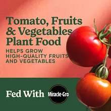 Miracle-Gro&reg; Shake 'N Feed&reg; Tomato, Fruit & Vegetable Plant Food image number null