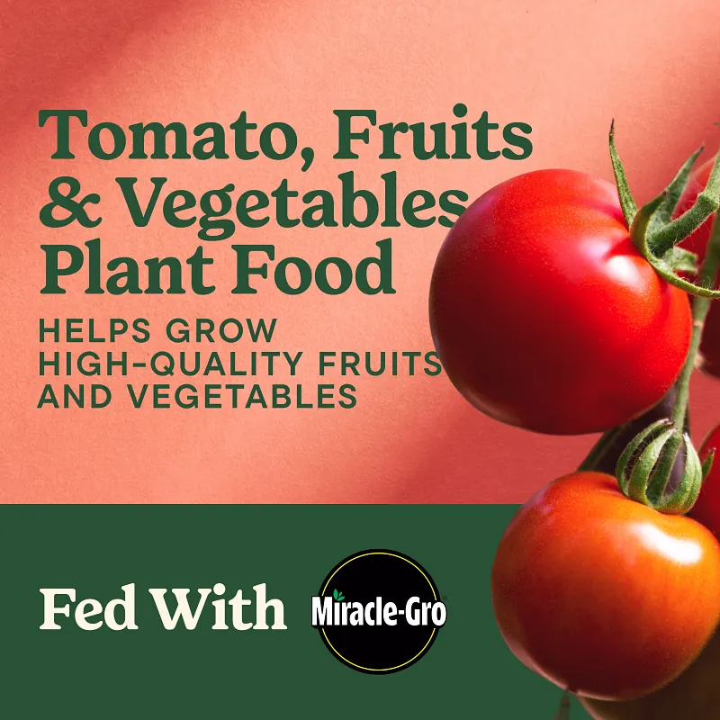 Miracle-Gro&reg; Shake 'N Feed&reg; Tomato, Fruit & Vegetable Plant Food image number 2.0