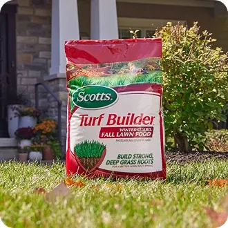 Lawn Food