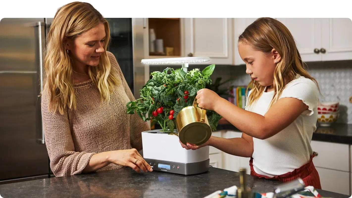 Mother and daughter watering a indoor hydroponic garden planter growing cherry tomatoes in a kitchen.