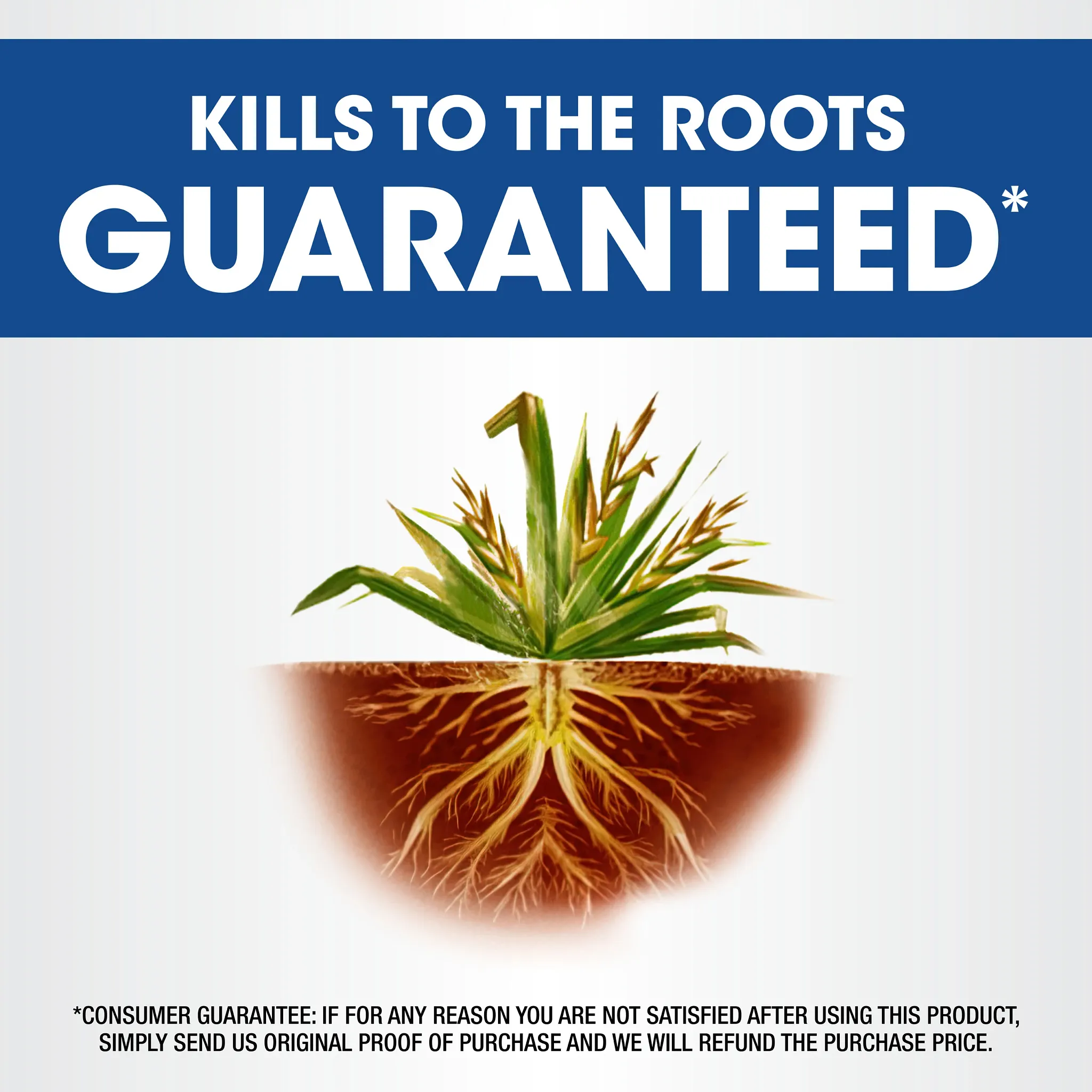 Roundup Weed And Grass Killer - Thumbnail 5
