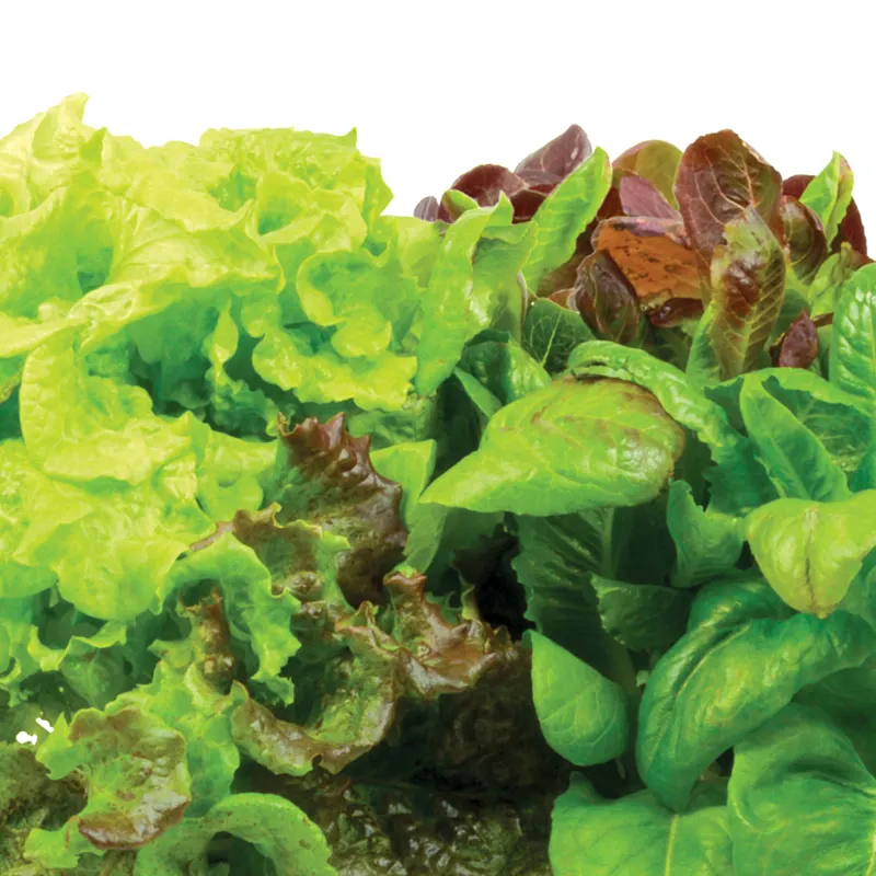 AeroGarden Heirloom Salad Greens Seed Pod Kit image number 3.0