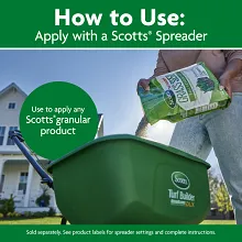 Scotts Turf Builder Grass Seed Tall Fescue Mix and Scotts Turf Builder Liquid Starter Lawn Food image number null
