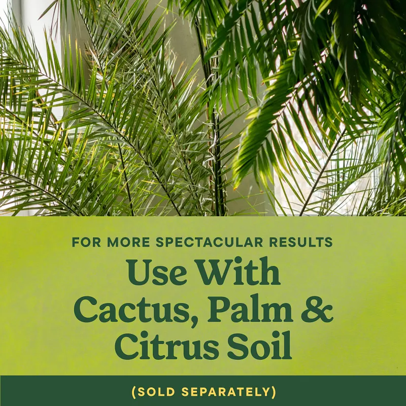 Miracle-Gro&reg; Shake 'N Feed Palm Plant Food image number 4.0