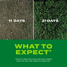 Scotts&reg; Turf Builder&reg; Rapid Grass Tall Fescue Mix image number null