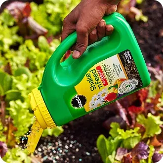 Plant Food