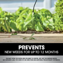 Roundup Dual Action 365 Weed & Grass Killer Plus 12 Month Preventer with Pump 'N Go 2 Sprayer image number null