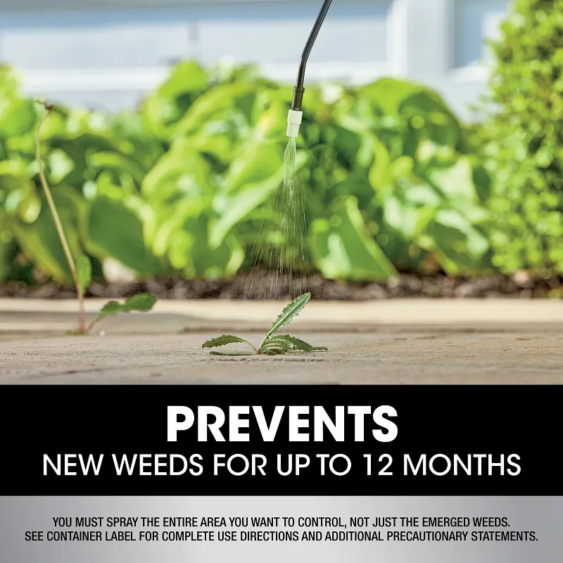 Roundup Dual Action 365 Weed & Grass Killer Plus 12 Month Preventer with Pump 'N Go 2 Sprayer image number 10.0