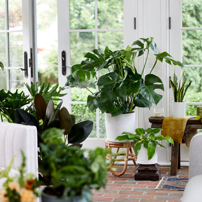 gif of plant food granules