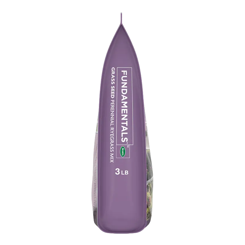 Fundamentals&trade; by Scotts&reg; Grass Seed Perennial Ryegrass Mix image number 3.0
