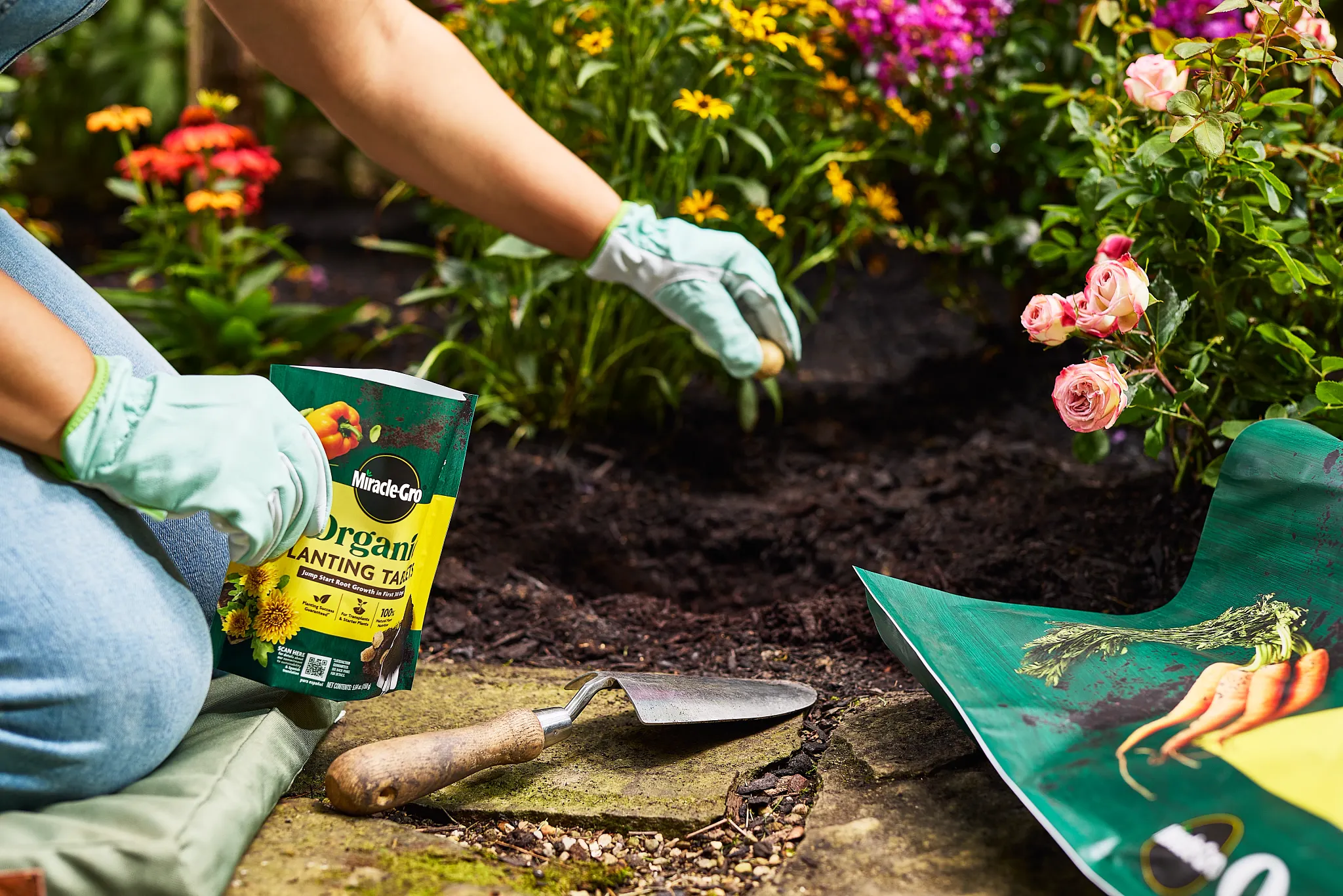 Woman putting a Miracle-Gro Organic Planting Tablet into a hole before planting