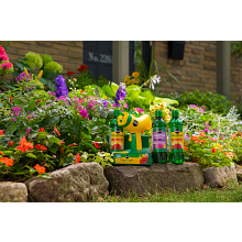 Miracle-Gro&reg; Liquafeed ultra bloom engrais concentr&eacute; image number null