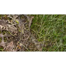 Scotts&reg; Weed B Gon &reg; MAX Ready-to-Use Weed Control image number null