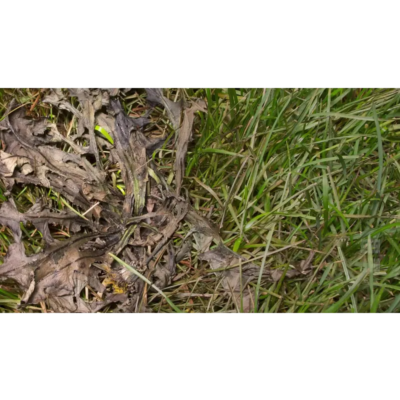 Scotts&reg; Weed B Gon &reg; MAX Ready-to-Use Weed Control image number 4.0