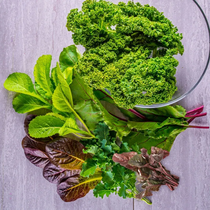 Mixed Kale Seed Pod Kit image number 1.0