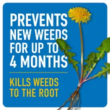 Roundup&reg; Dual Action Weed & Grass Killer Plus 4 Month Preventer with Sure Shot&trade; Wand image number null