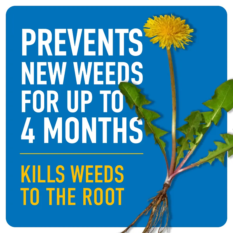 Roundup&reg; Dual Action Weed & Grass Killer Plus 4 Month Preventer with Sure Shot&trade; Wand image number 2.0