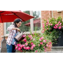 Water Soluble All Purpose Plant Food image number null