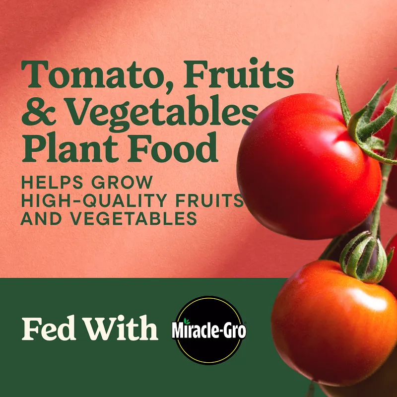 Miracle-Gro&reg; LiquaFeed Tomato, Fruits & Vegetables Plant Food image number 2.0