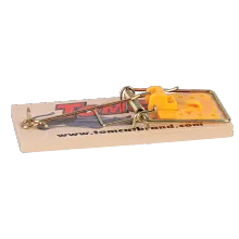Tomcat Mouse Traps (Wooden), 4 Count image number null