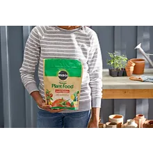 Miracle-Gro&reg; Water Soluble Tomato Plant Food image number null