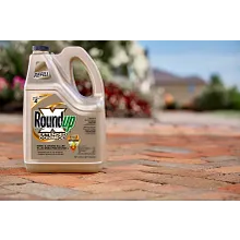 Roundup&reg; Ready-To-Use Extended Control Weed & Grass Killer Plus Weed Preventer II Refill image number null