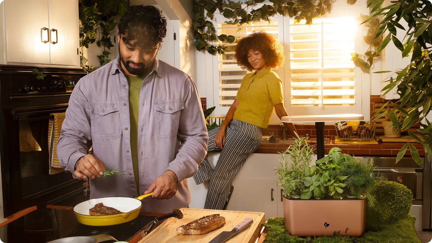A man stands at the stove adding rosemary to a pan he's cooking a steak in. An aerogarden with fresh herbs sits next to the stove on the counter. A woman is sitting on the edge of the kitchen counter behind him watching as he cooks her a nice meal. 