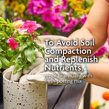 Miracle-Gro Organic&trade; Potting Mix image number null