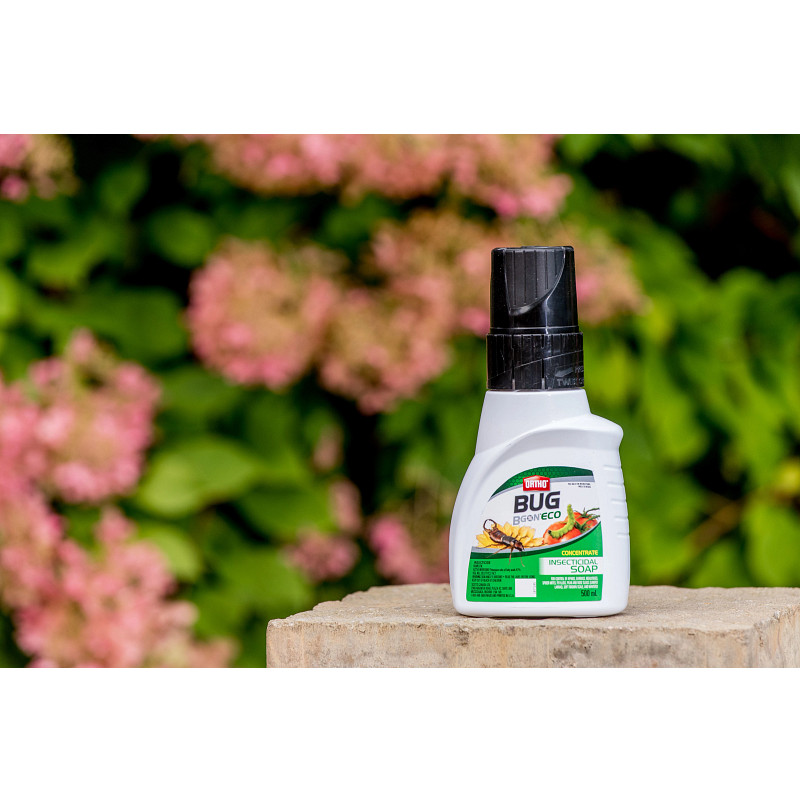 Savon insecticide Ortho&reg; Bug B Gon&reg; ECO Concentr&eacute; image number 2