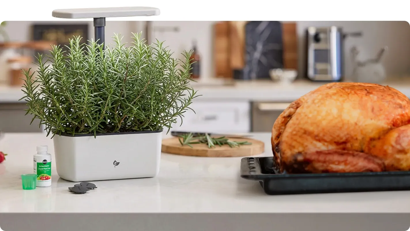 An oven roasted turkey sitting on a baking pan next to an aerogarden with full grown rosemary