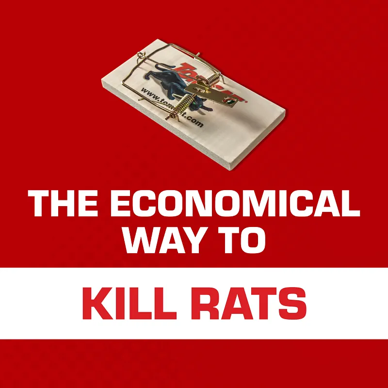 Tomcat Rat Trap (Wooden) Image 3
