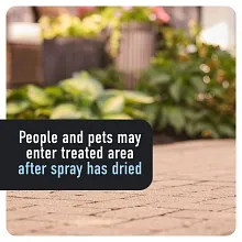 Roundup&reg; Dual Action 365 Weed & Grass Killer Plus 12 Month Preventer Refill image number null
