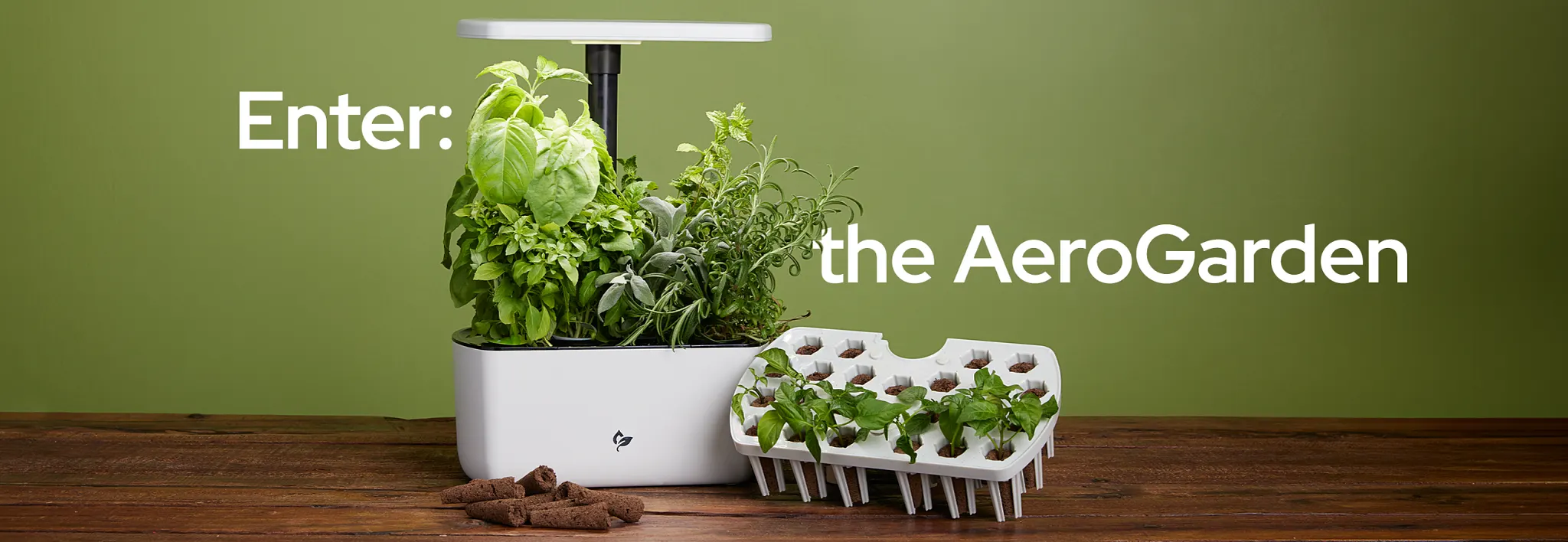 enter aerogarden