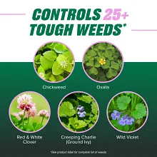 Ortho Chickweed, Clover & Oxalis Killer for Lawns Concentrate image number null