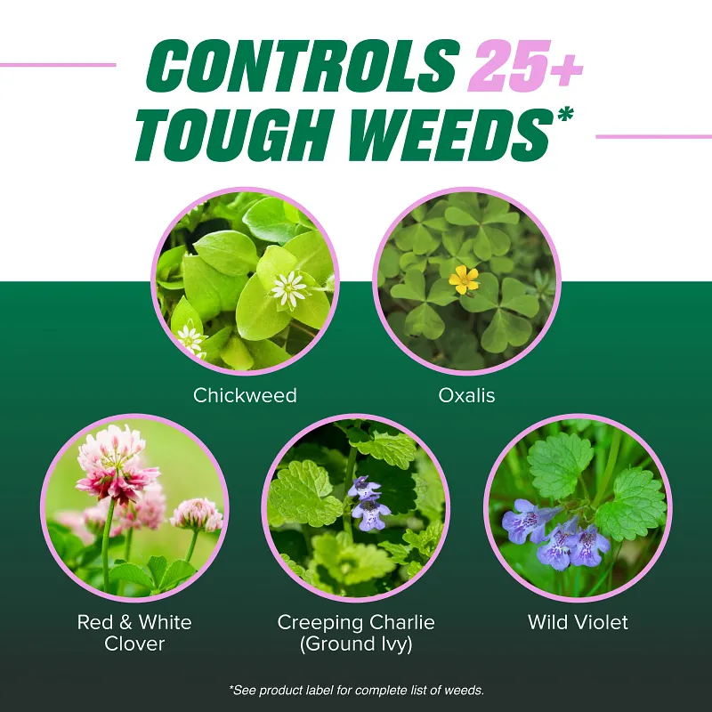 Ortho Chickweed, Clover & Oxalis Killer for Lawns Concentrate image number 3.0