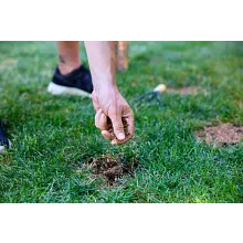 Scotts&reg; EZ Seed&reg; Patch & Repair image number null