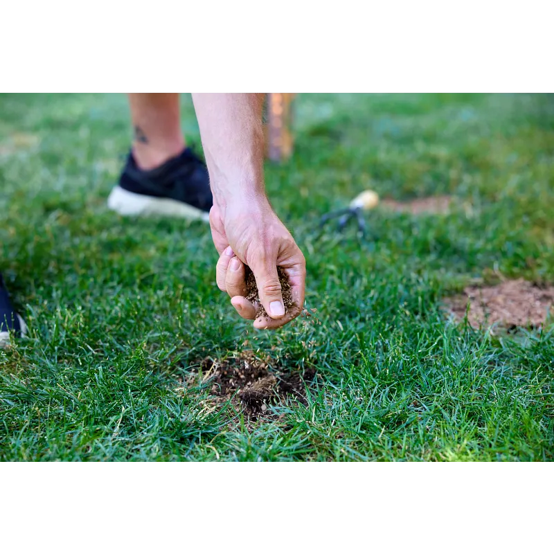 Scotts&reg; EZ Seed&reg; Patch & Repair image number 6.0