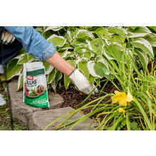 Ortho&reg; Slug B Gon&reg; Slug and Snail Bait image number null