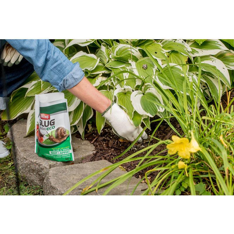 Ortho&reg; Slug B Gon&reg; Slug and Snail Bait image number 4