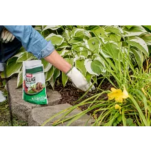 Ortho&reg; Slug B Gon&reg; Slug and Snail Bait image number null