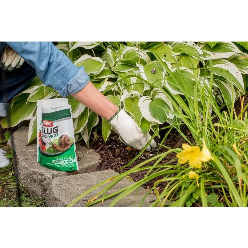 Ortho&reg; Slug B Gon&reg; Slug and Snail Bait image number 4.0