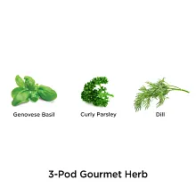 AeroGarden Gourmet Herbs Seed Pod Kit image number null